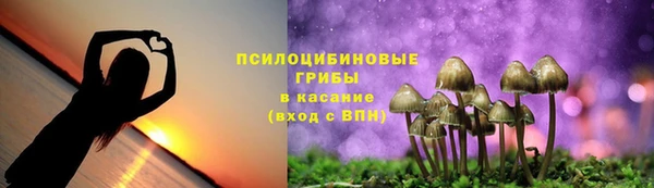 индика Болохово