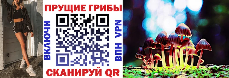 Псилоцибиновые грибы прущие грибы  Кимовск 
